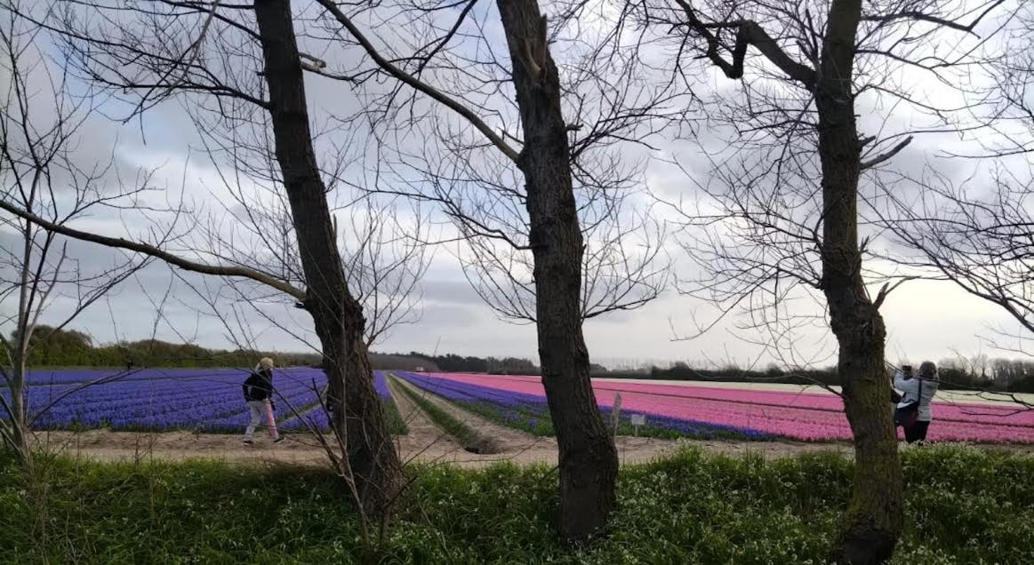 Trouz Ar Mor Villa Penmarcʼh Eksteriør billede